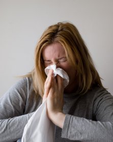 alergia na kurz